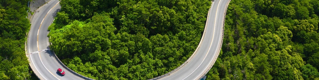 Ein Auto fährt auf einer Straße durch den Wald.