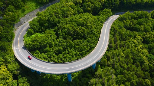 Ein Auto fährt auf einer Straße durch den Wald.