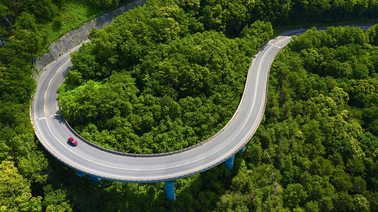Ein Auto fährt auf einer Straße durch den Wald.