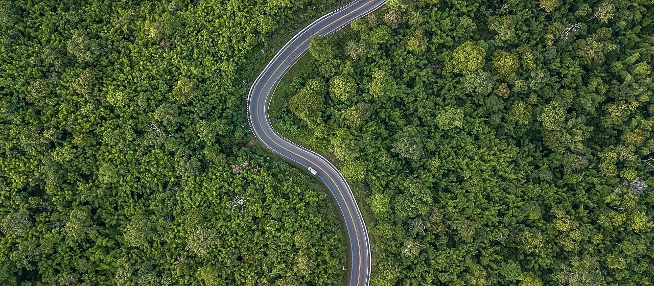 Auto fhrt auf kurviger Strae durch grnen Wald