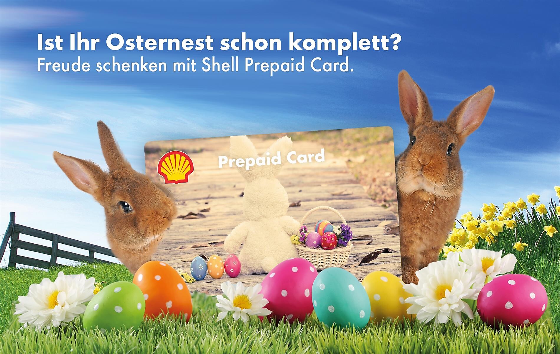Jetzt Shell Prepaid Cards verschenken